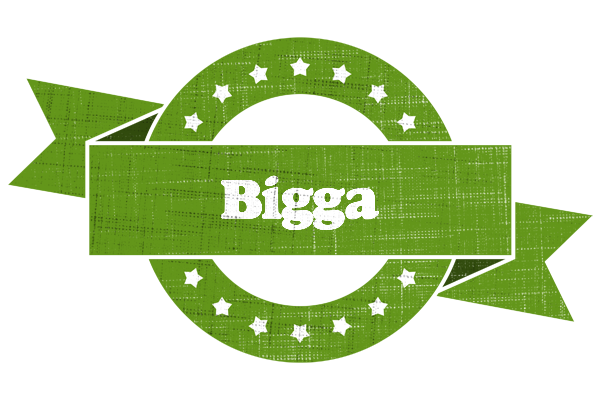 Bigga natural logo