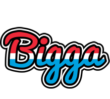 Bigga norway logo