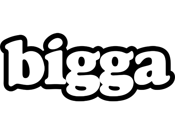 Bigga panda logo