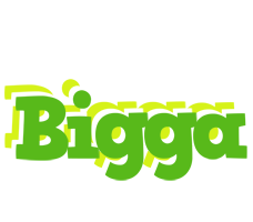Bigga picnic logo