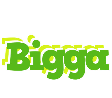 Bigga picnic logo