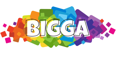 Bigga pixels logo