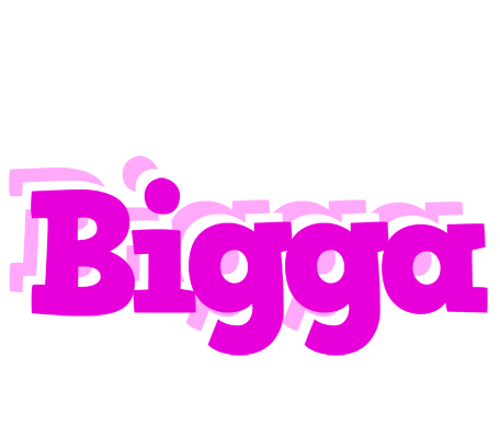 Bigga rumba logo