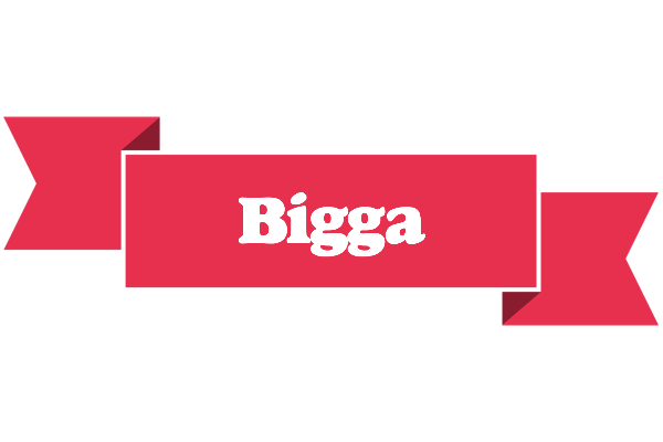 Bigga sale logo