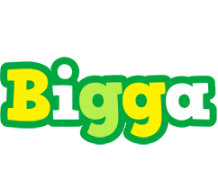 Bigga soccer logo