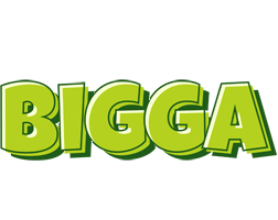 Bigga summer logo