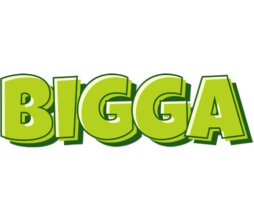 Bigga summer logo