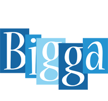 Bigga winter logo