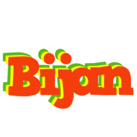 Bijan bbq logo