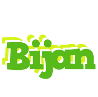 Bijan picnic logo