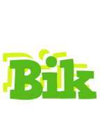 Bik picnic logo