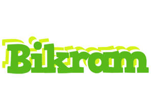 Bikram picnic logo