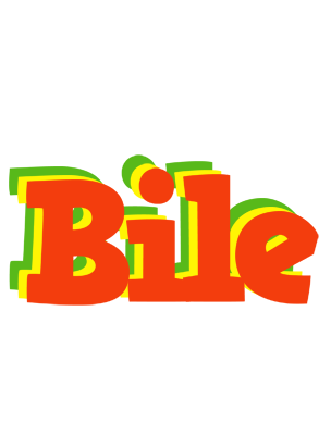 Bile bbq logo