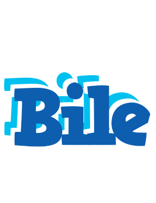 Bile business logo