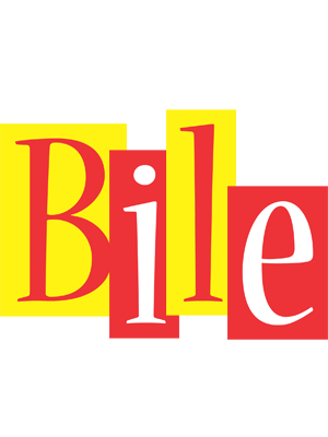 Bile errors logo