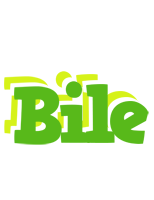 Bile picnic logo