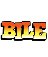 Bile sunset logo