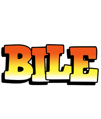 Bile sunset logo