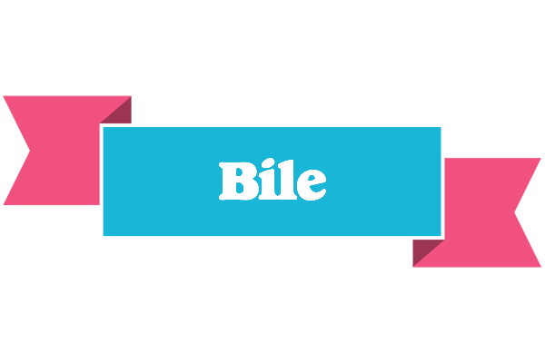 Bile today logo