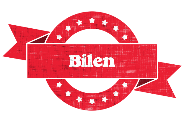 Bilen passion logo