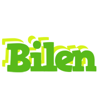 Bilen picnic logo