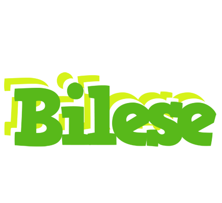 Bilese picnic logo