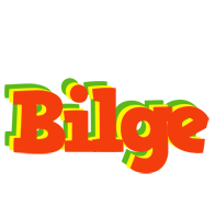 Bilge bbq logo