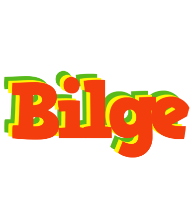 Bilge bbq logo
