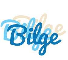 Bilge breeze logo