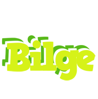 Bilge citrus logo