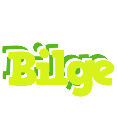 Bilge citrus logo