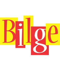 Bilge errors logo