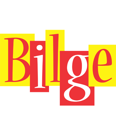 Bilge errors logo