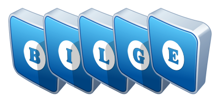 Bilge flippy logo