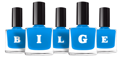 Bilge glossy logo