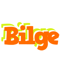 Bilge healthy logo