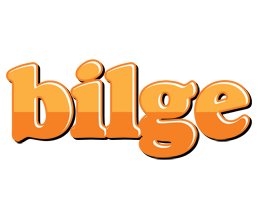 Bilge orange logo