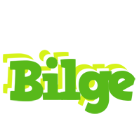 Bilge picnic logo