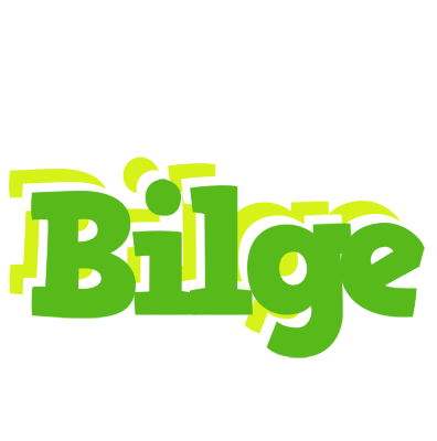 Bilge picnic logo