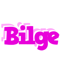 Bilge rumba logo