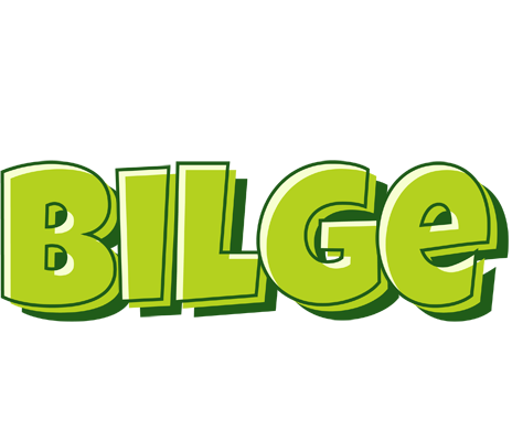 Bilge summer logo