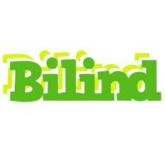 Bilind picnic logo