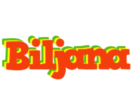 Biljana bbq logo