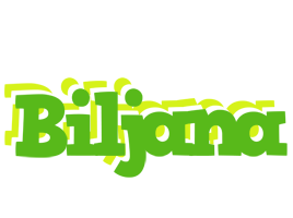 Biljana picnic logo