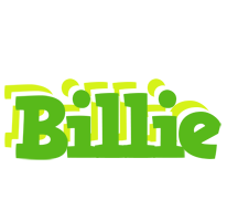 Billie picnic logo