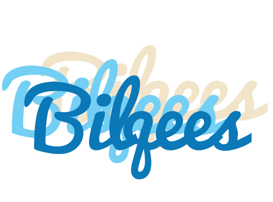 Bilqees breeze logo