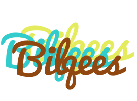 Bilqees cupcake logo