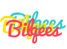 Bilqees disco logo