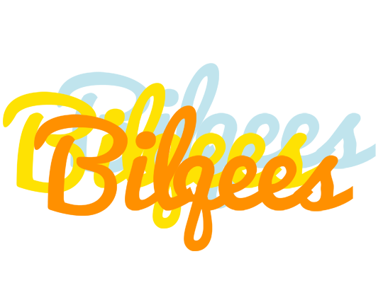 Bilqees energy logo