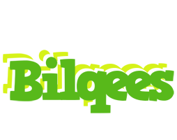 Bilqees picnic logo